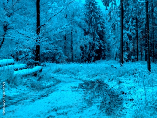 Winter in the Taunus Mountains Germany photo