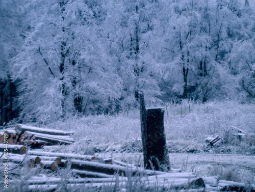 Winter in the Taunus Mountains Germany photo