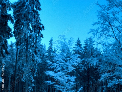 Winter in the Taunus Mountains Germany photo