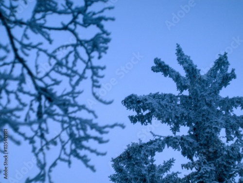 Winter in the Taunus Mountains Germany photo