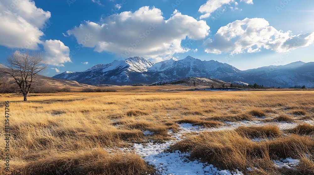 Golden Meadow and Snowy Mountains. Scenic Landscape Golden Meadow and Snowy Mountains. Scenic Landscape