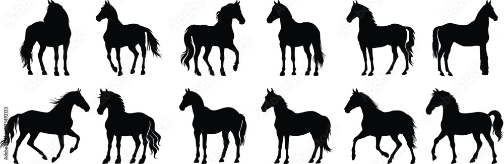 Horse silhouette set vector design big pack of animal illustration and icon Horse silhouette set vector design big pack of animal illustration and icon