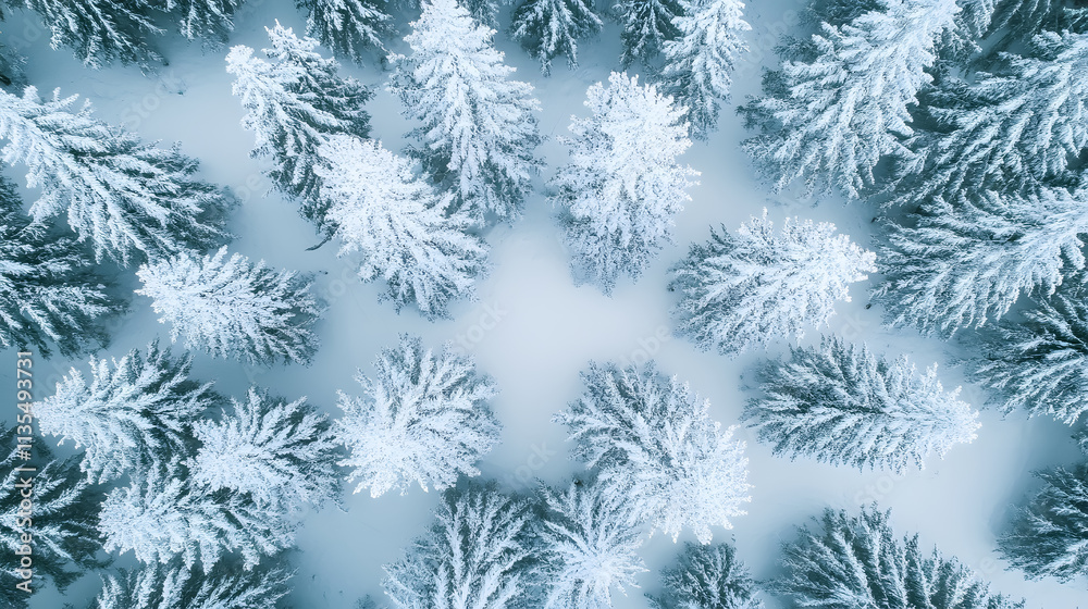 A drone photo capturing snow-covered evergreen trees after a winter blizzard in Lithuania. A drone photo capturing snow-covered evergreen trees after a winter blizzard in Lithuania.