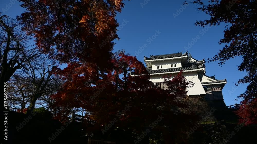 秋の越前大野城 （福井県大野市, 2024年12月）