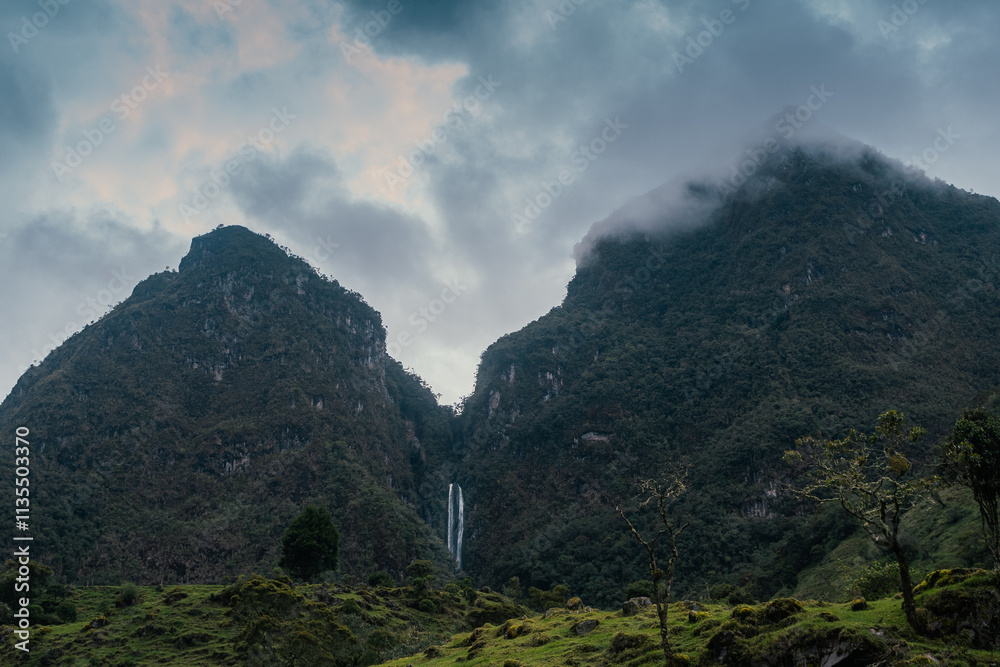 Obraz premium Paramo del Otún