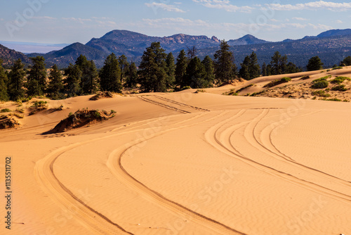 Canvas-taulu OHV tire tracks stretch off into the distance at Coral Pink Sand Dunes state park in southern Utah