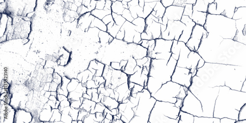 Abstract textured background of white cracked wall. Vector marble pattern with white and black cracks Transparent texture. cracked wall texture, black and white, cracked concrete of grunge texture.