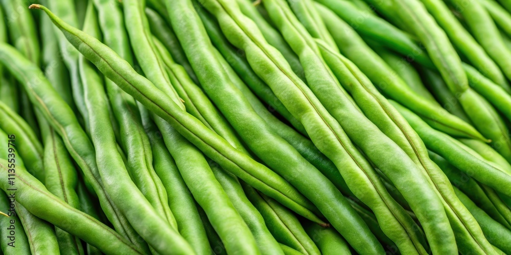 Close-up shot of organic green yardlong beans , organic, green, yardlong beans, close-up, fresh, produce, healthy Close-up shot of organic green yardlong beans , organic, green, yardlong beans, close-up, fresh, produce, healthy