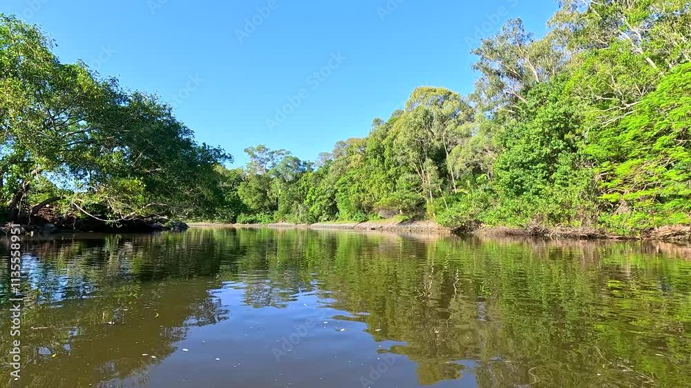 Scenic River Cruise on Nerang River Scenic River Cruise on Nerang River