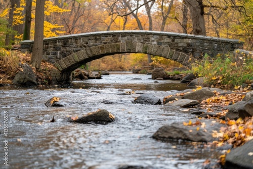 Picturesque autumn landscape with a stone bridge over a flowing stream