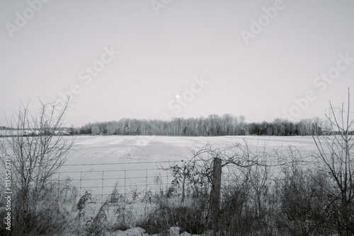 Wallpaper Mural The full moon over a farmers field Torontodigital.ca