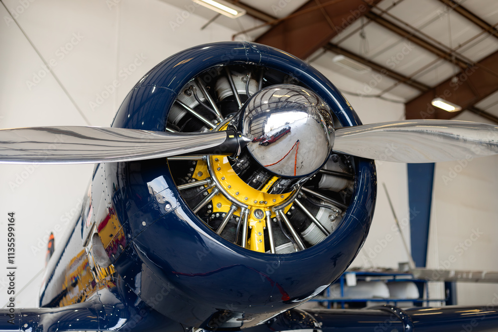 Obraz premium Airplane Propeller