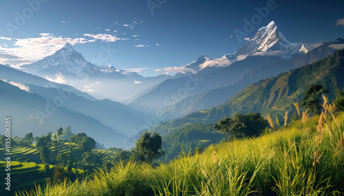 Himalayan Mountain Range with Terraced Hills and Grassland photo