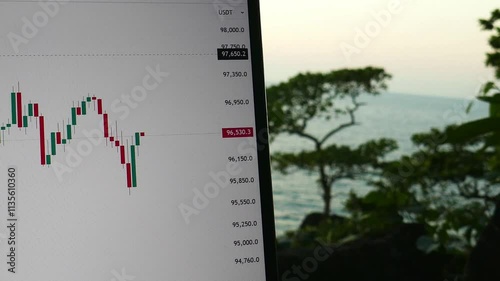 freelancer trades in nature, graphs and charts on a monitor with a view of the seashore