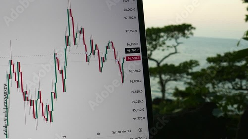 freelancer trades in nature, graphs and charts on a monitor with a view of the seashore