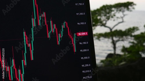 freelancer trades in nature, graphs and charts on a monitor with a view of the seashore