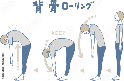 背骨ドローイング