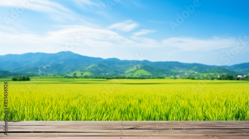 Serene Rice Paddy Field Landscape with Mountain Background under a Sunny Sky: A Breathtaking View of Nature's Tranquility