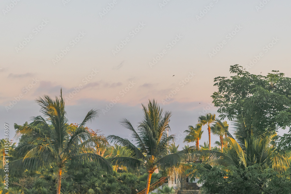 High angle view of a tropical landscape at golden hour seen from a hotel High angle view of a tropical landscape at golden hour seen from a hotel