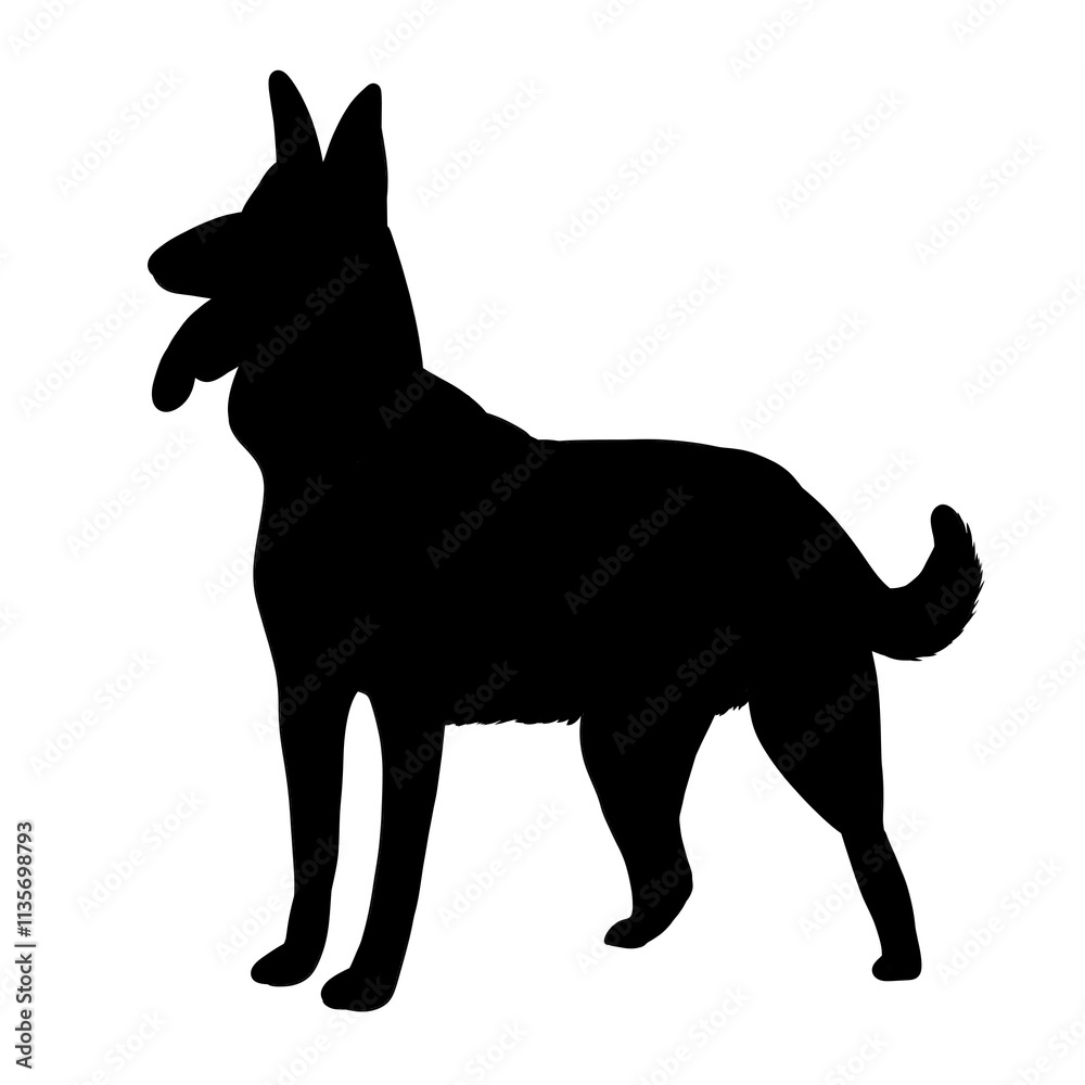 Obraz premium silhouette of a dog