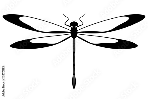 Dragonfly silhouette vector.