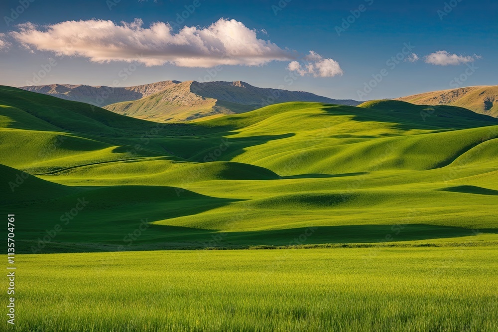 Obraz premium Captivating Green Meadow Landscape Design