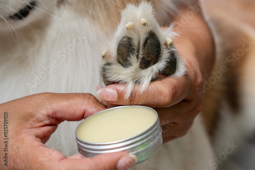 Close-up of hands applying paw balm to moisturize and protect a dog's pads from dryness and cracks. A person gently applies soothing balm to a dog's paw for hydration and care. 