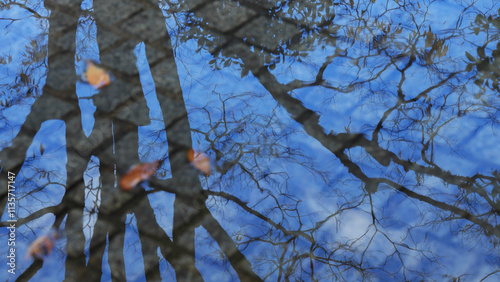 Foto Silhouettes of the blue winter sky and dead branches reflected on the cold water