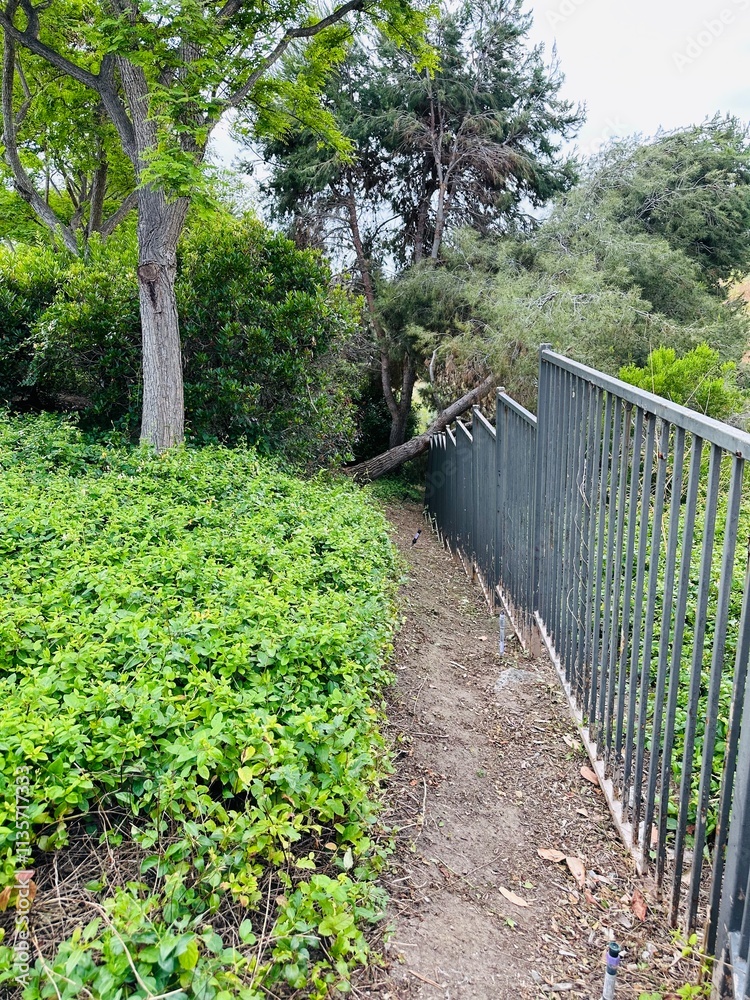 A narrow dirt path winds through lush greenery, inviting exploration. A narrow dirt path winds through lush greenery, inviting exploration.