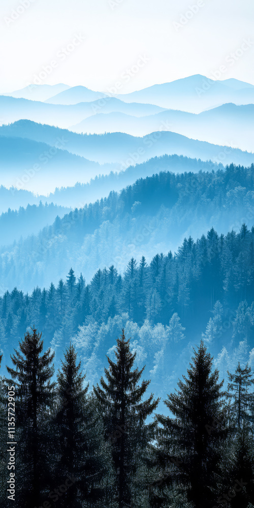 Obraz premium Majestic blue mountains rise under a misty sky with evergreen forests in the foreground