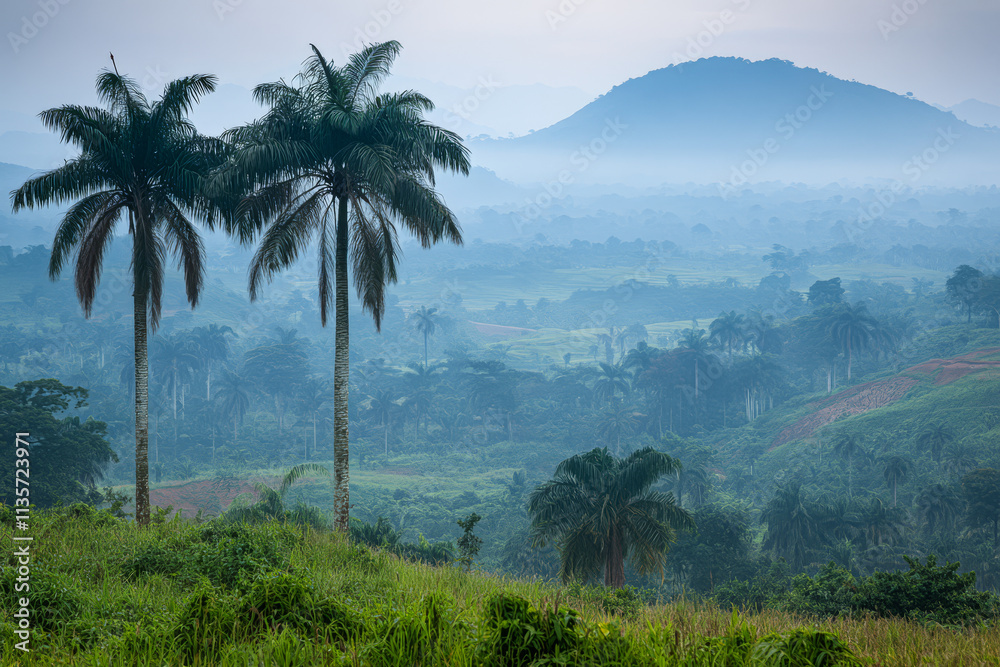 Vibrant landscape with palm trees and misty mountains at dawn in a tropical region Vibrant landscape with palm trees and misty mountains at dawn in a tropical region