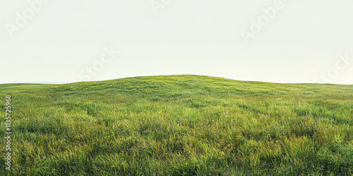 Expansive green meadow under a clear sky captured during the golden hour of late afternoon