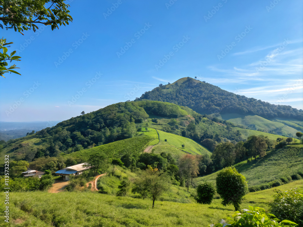 Obraz premium landscape in the mountains. landscape, mountain, nature, sky, mountains, grass, green, hill, view, meadow, clouds, hills, forest, summer, field, valley, trees, panorama, countryside, tree, rural, spri