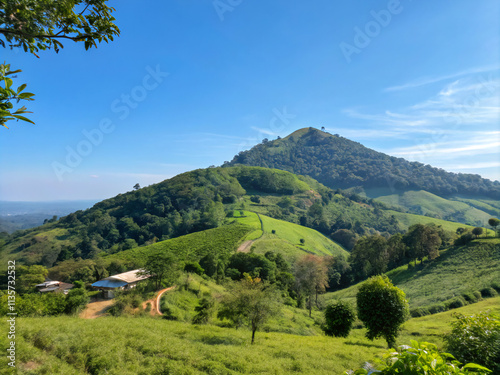 Wallpaper Mural landscape in the mountains. landscape, mountain, nature, sky, mountains, grass, green, hill, view, meadow, clouds, hills, forest, summer, field, valley, trees, panorama, countryside, tree, rural, spri Torontodigital.ca