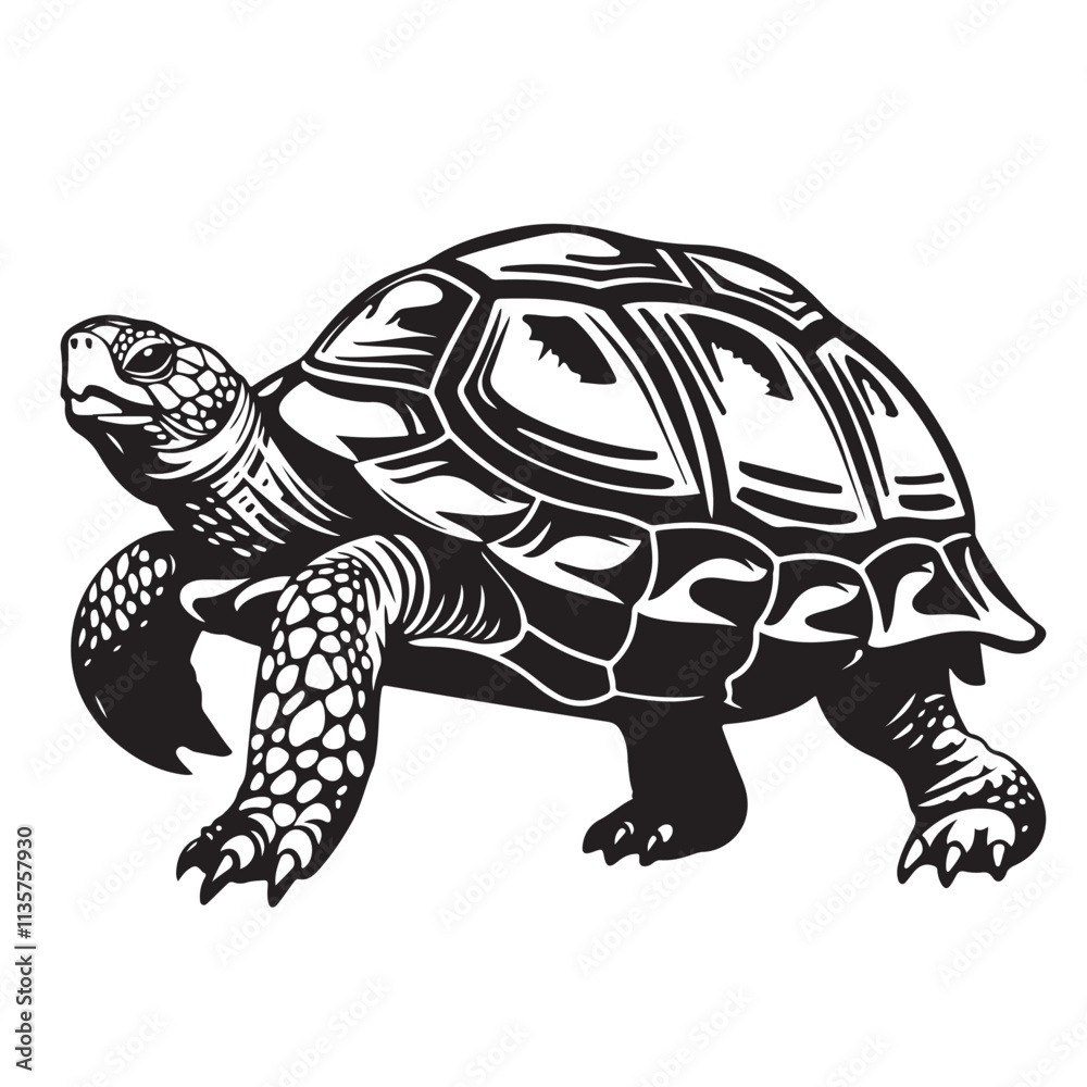 Fototapeta premium Detailed black and white illustration of a walking land turtle, featuring a textured shell, strong legs, and realistic design. Ideal for logos or artwork. Reptile. Animals.
