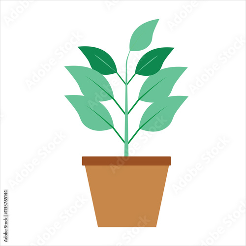 Plant in a tub vector illustration.plant vector.