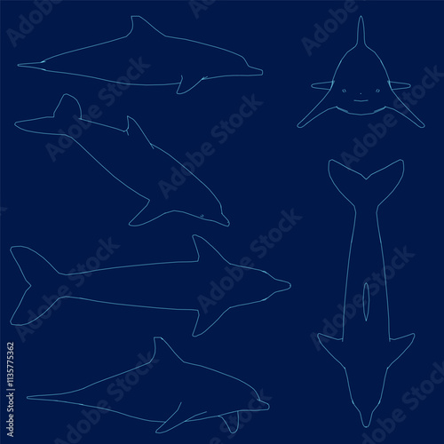 Dolphin characters contour set. Dolphins jump and swim poses. Oceanarium show mascot underwater animal. Vector illustration set
