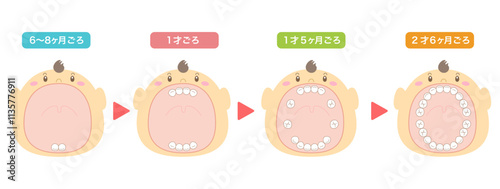 乳歯が生える時期の解説と大きな口を開けた赤ちゃんのイラスト