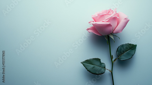 Minimalist flat lay photo of small pink rose with minimal leaves on pure white background, diagonal placement, soft lighting, high res, sharp focus, no blur, grain, or dust photo