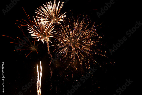 fireworks in the sky