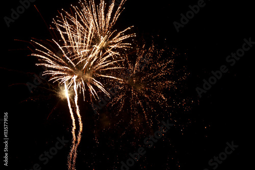 fireworks in the night sky