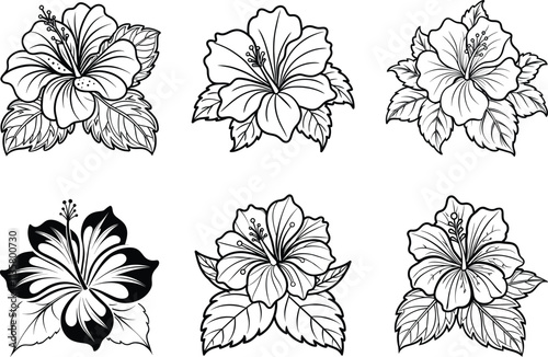 Hibiscus tropical flower design monochrome vector illustration. 