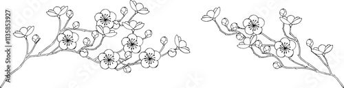 梅の花の線画イラスト