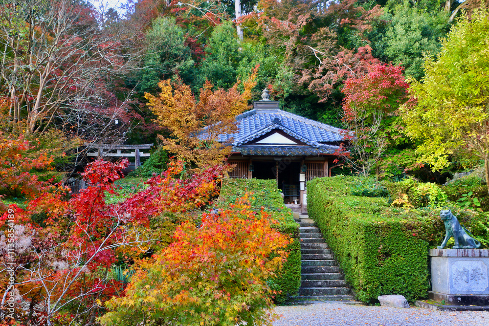 秋の大願寺(奈良県・宇陀市) 秋の大願寺(奈良県・宇陀市)