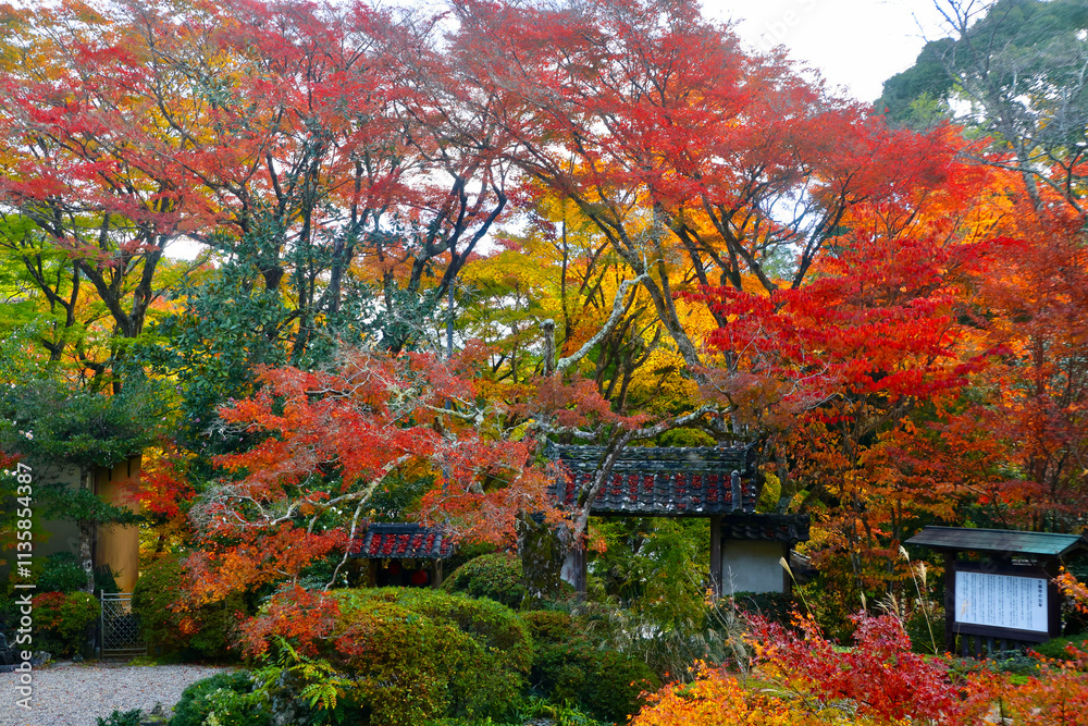 Naklejka premium 秋の大願寺（奈良県・宇陀市）