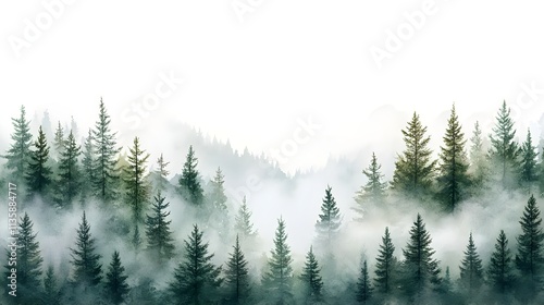 Serene Landscape of Dense Evergreen Trees Surrounded by Fog and Mist in a Tranquil Forest Setting with Soft Natural Light in a Mystical Atmosphere
