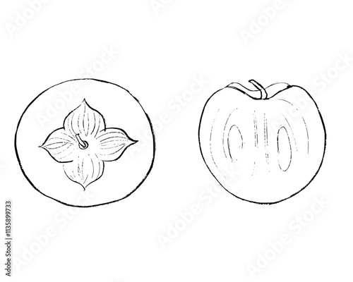 hand drawn illustration of Persimmon fruit, doodle of Persimmon fruit