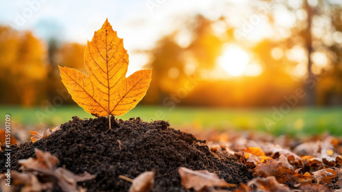 A vibrant autumn scene featuring a golden leaf growing from rich soil, illuminated by warm sunlight, symbolizing nature's beauty and renewal.