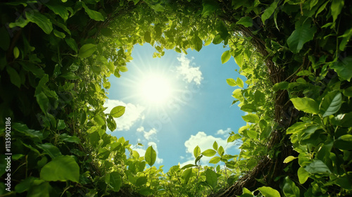 A vibrant view of sunlight filtering through lush green leaves, creating a natural frame against a bright blue sky.