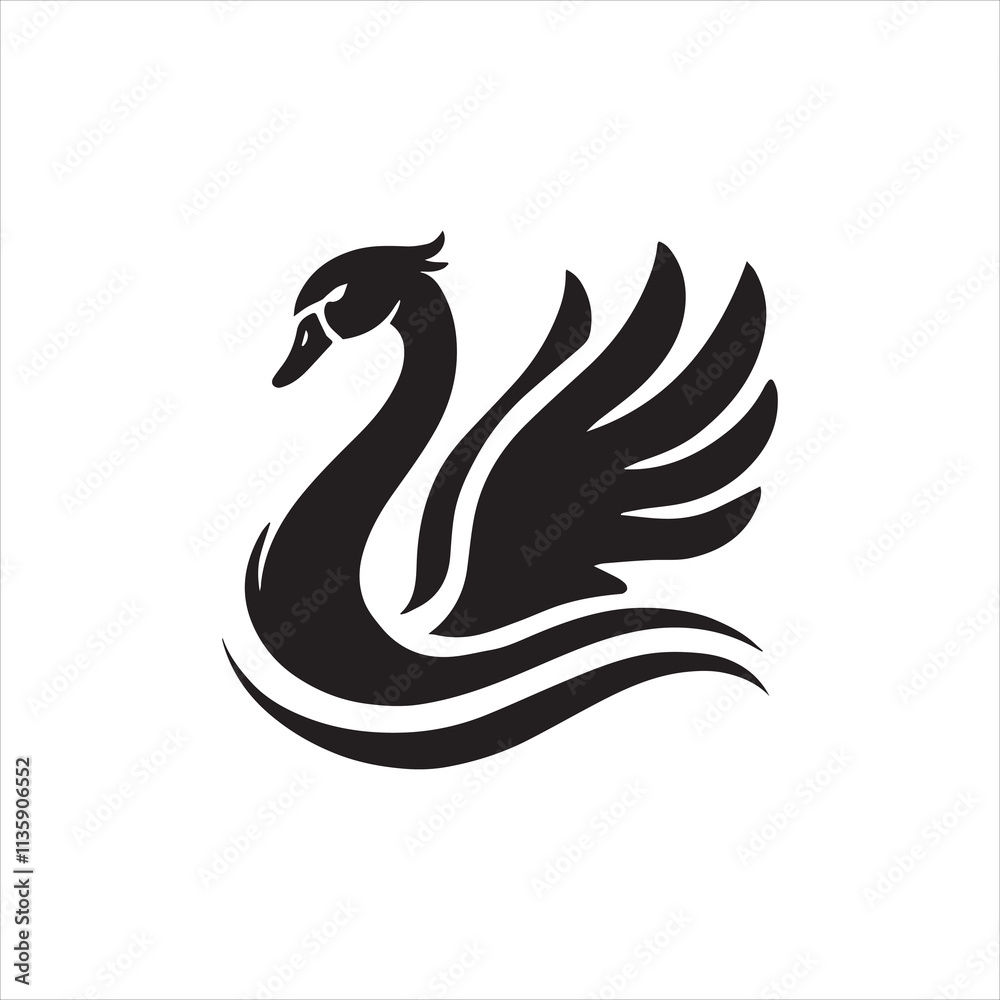black and white swan black and white swan